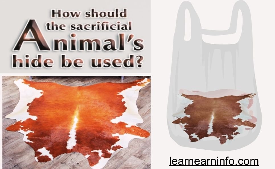 How should the sacriface animals hide bi used